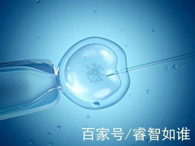供卵试管服务